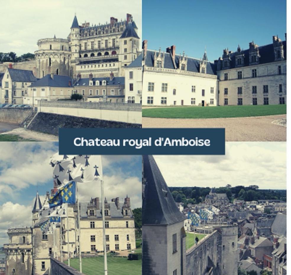 Chambre Fleurs De Lys Proche Zooparc De Beauval Et Des Chateaux De La Loire Couffy المظهر الخارجي الصورة